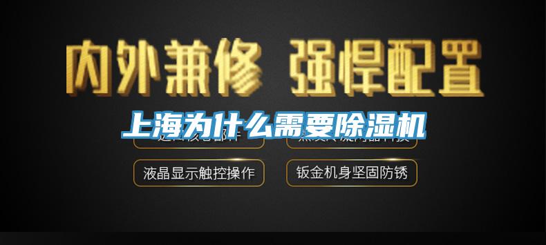 上海為什麽需要杏仁视频APP成人官方污