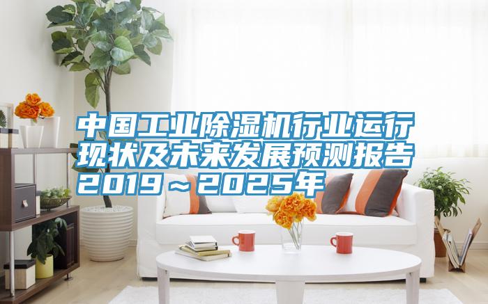 中國工業杏仁视频APP成人官方污行業運行現狀及未來發展預測報告2019～2025年