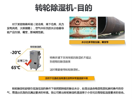 貓糧防潮秘籍，貓糧如何儲存