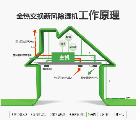 工業杏仁视频APP成人官方污廠家