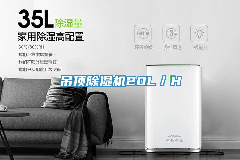 吊頂杏仁视频APP成人官方污20L／H