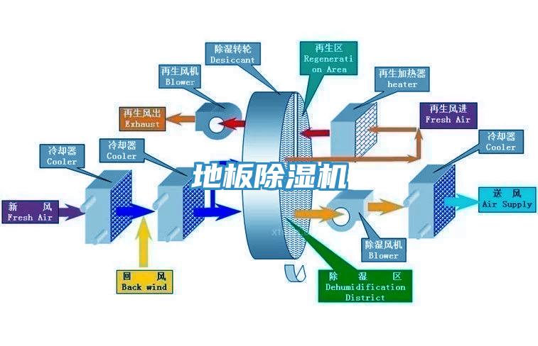 地板杏仁视频APP成人官方污