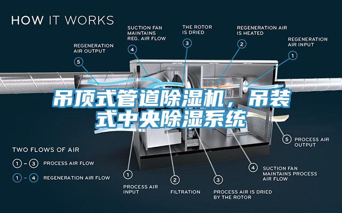 吊頂式管道杏仁视频APP成人官方污，吊裝式中央除濕係統