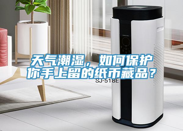 天氣潮濕，如何保護你手上留的紙幣藏品？