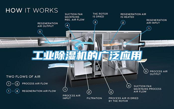 工業杏仁视频APP成人官方污的廣泛應用