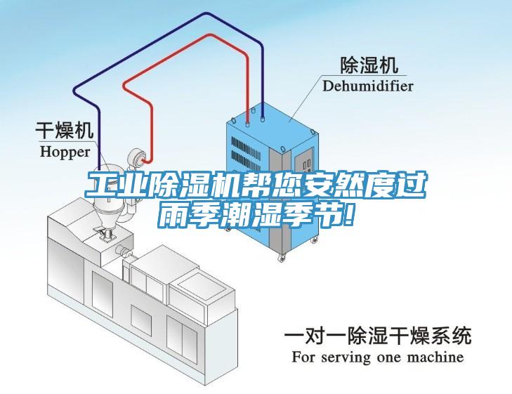 工業杏仁视频APP成人官方污幫您安然度過雨季潮濕季節!