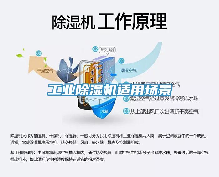 工業杏仁视频APP成人官方污適用場景