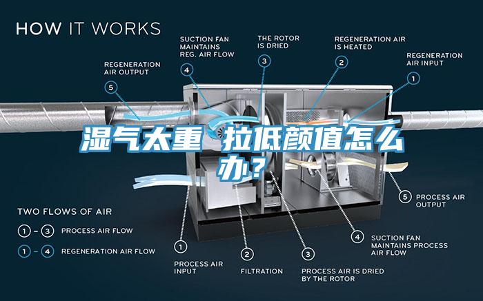 濕氣太重 拉低顏值怎麽辦？