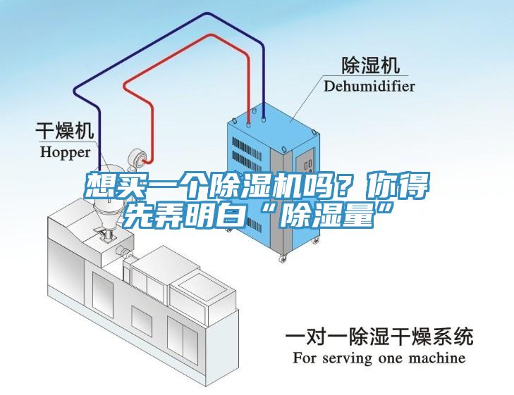 想買一個杏仁视频APP成人官方污嗎？你得先弄明白“除濕量”