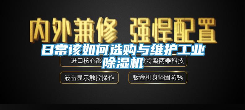 日常該如何選購與維護工業杏仁视频APP成人官方污