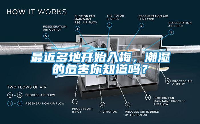 最近多地開始入梅，潮濕的危害你知道嗎？