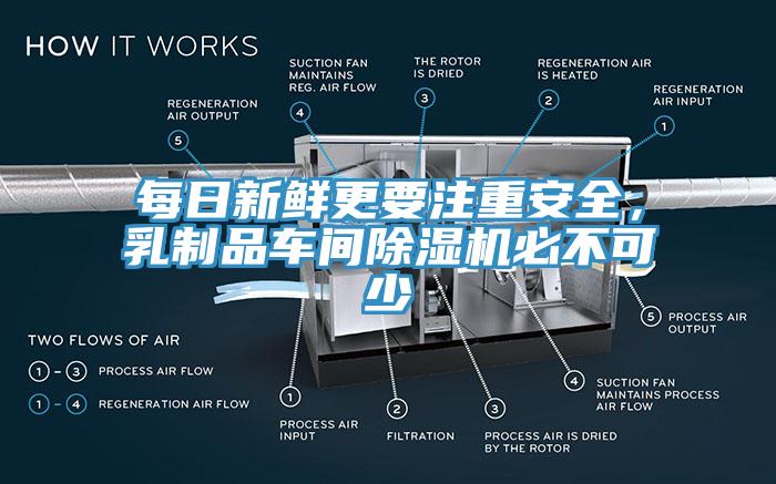 每日新鮮更要注重安全，乳製品車間杏仁视频APP成人官方污必不可少