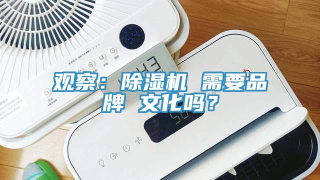 觀察：杏仁视频APP成人官方污 需要品牌 文化嗎？