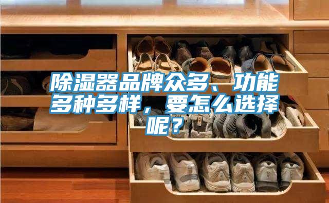 除濕器品牌眾多、功能多種多樣，要怎麽選擇呢？