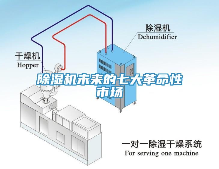 杏仁视频APP成人官方污未來的七大革命性市場