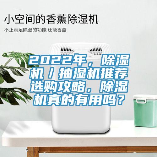 2022年，杏仁视频APP成人官方污／抽濕機推薦選購攻略，杏仁视频APP成人官方污真的有用嗎？