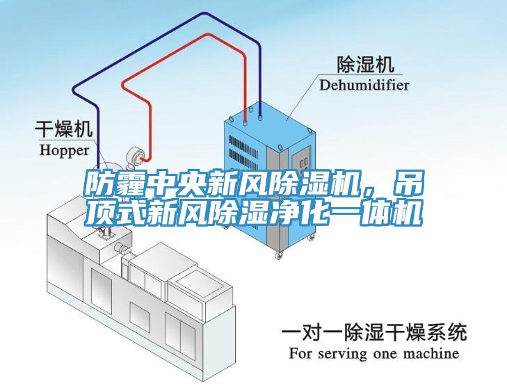 防霾中央新風杏仁视频APP成人官方污，吊頂式新風除濕淨化一體機