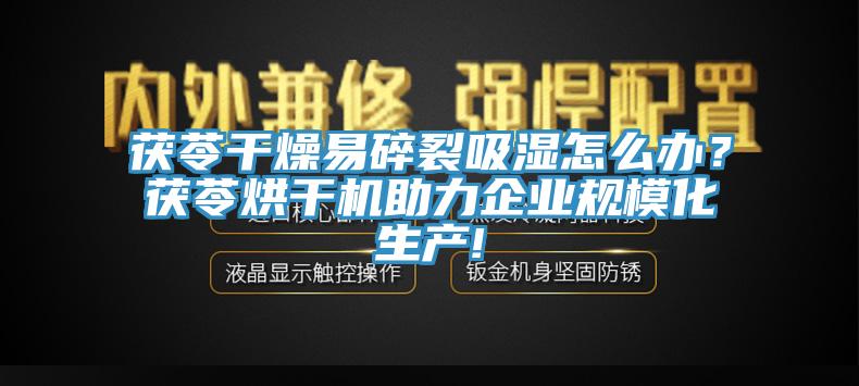 茯苓幹燥易碎裂吸濕怎麽辦？茯苓烘幹機助力企業規模化生產!