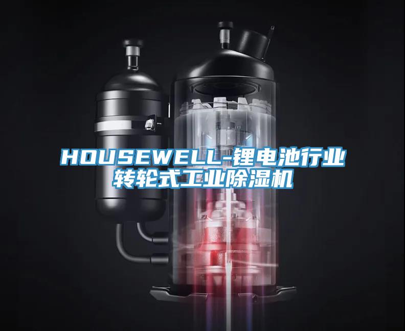 HOUSEWELL-鋰電池行業轉輪式工業杏仁视频APP成人官方污