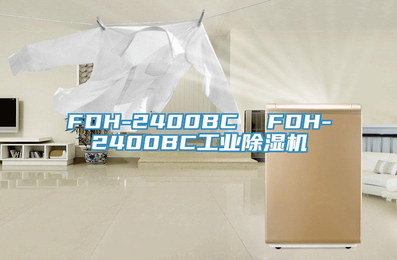 FDH-2400BC  FDH-2400BC工業杏仁视频APP成人官方污