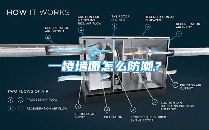 一樓牆麵怎麽防潮？