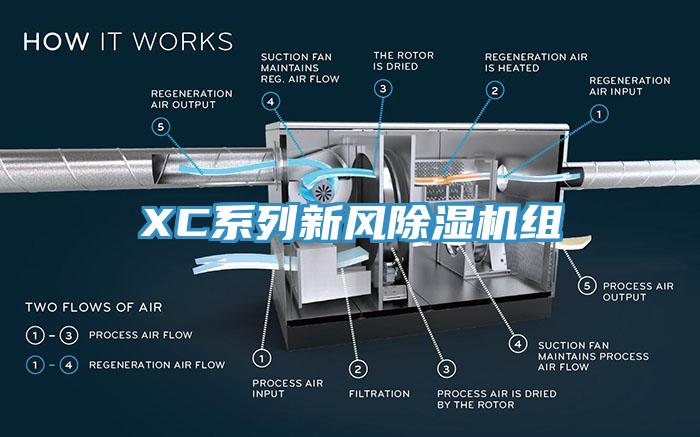 XC係列新風杏仁视频APP成人官方污組