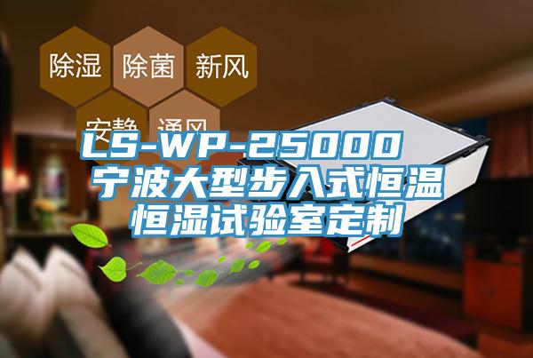 LS-WP-25000  寧波大型步入式恒溫恒濕試驗室定製