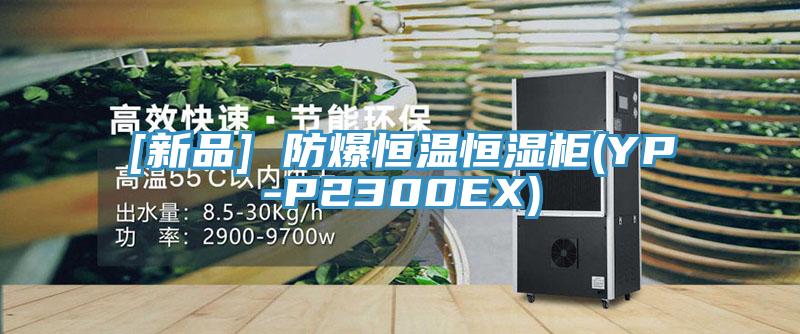 [新品] 防爆恒溫恒濕櫃(YP-P2300EX)