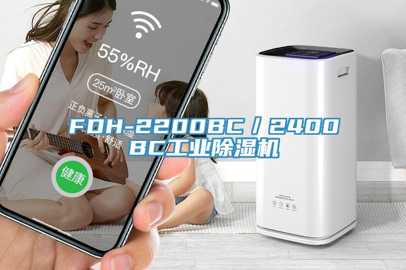 FDH-2200BC／2400BC工業杏仁视频APP成人官方污