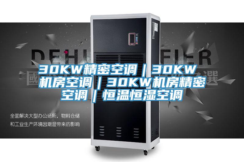 30KW精密空調｜30KW 機房空調｜30KW機房精密空調｜恒溫恒濕空調