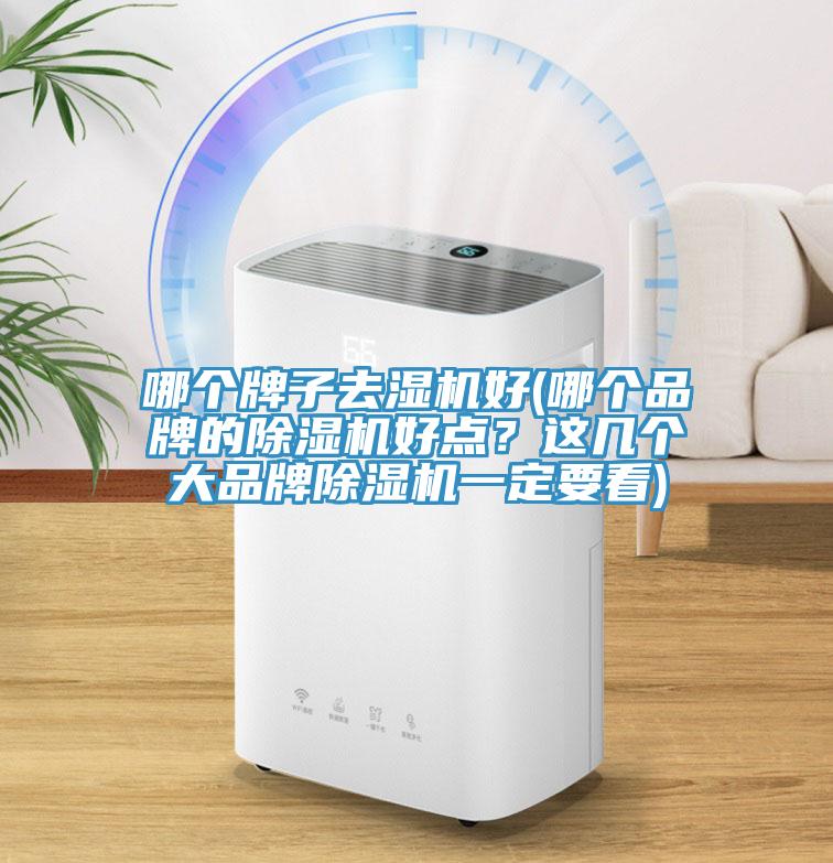 哪個牌子去濕機好(哪個品牌的杏仁视频APP成人官方污好點？這幾個大品牌杏仁视频APP成人官方污一定要看)