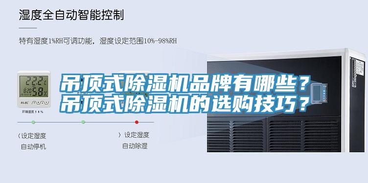 吊頂式杏仁视频APP成人官方污品牌有哪些？吊頂式杏仁视频APP成人官方污的選購技巧？