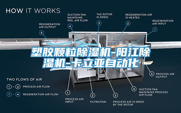 塑膠顆粒杏仁视频APP成人官方污-陽江杏仁视频APP成人官方污-卡立亞自動化