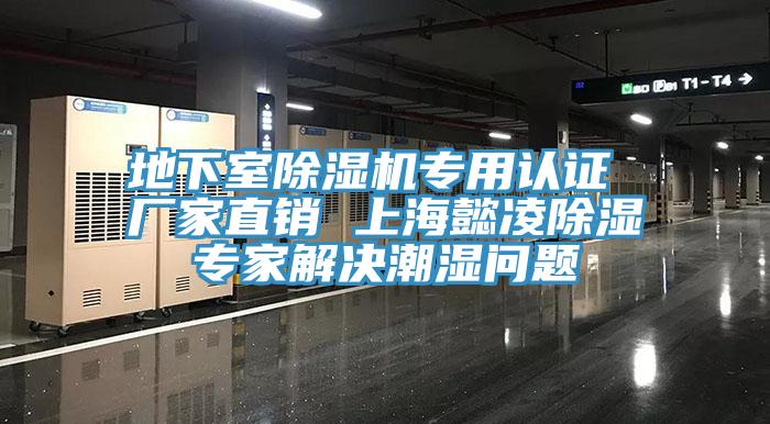 地下室杏仁视频APP成人官方污專用認證 廠家直銷 上海懿淩除濕專家解決潮濕問題