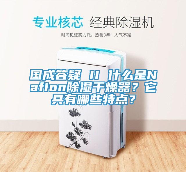 國成答疑 II 什麽是Nafion除濕幹燥器？它具有哪些特點？