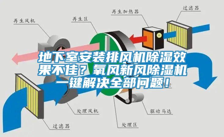 地下室安裝排風機除濕效果不佳？氧風新風杏仁视频APP成人官方污一鍵解決全部問題！