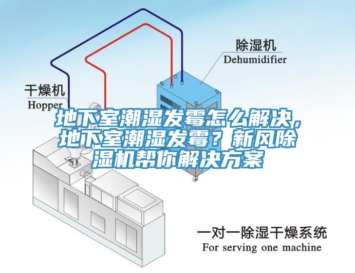 地下室潮濕發黴怎麽解決，地下室潮濕發黴？新風杏仁视频APP成人官方污幫你解決方案