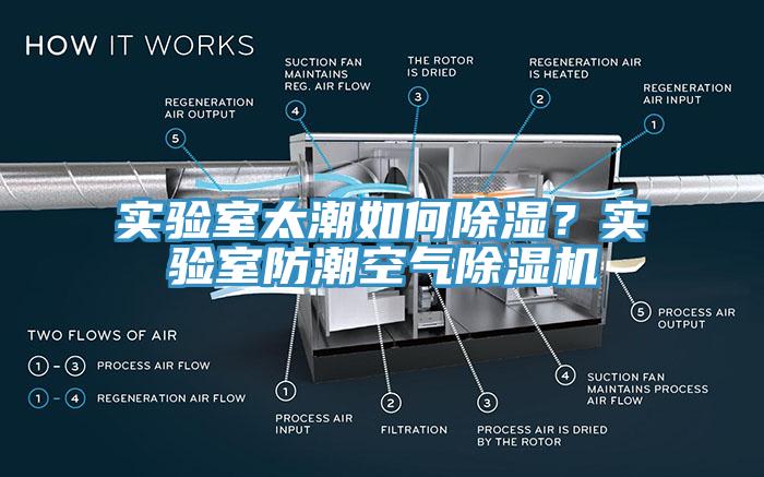 實驗室太潮如何除濕？實驗室防潮空氣杏仁视频APP成人官方污