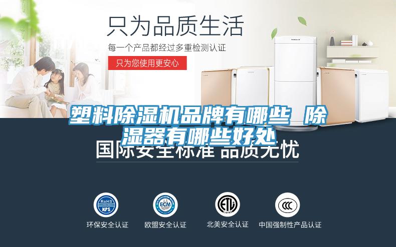 塑料杏仁视频APP成人官方污品牌有哪些 除濕器有哪些好處