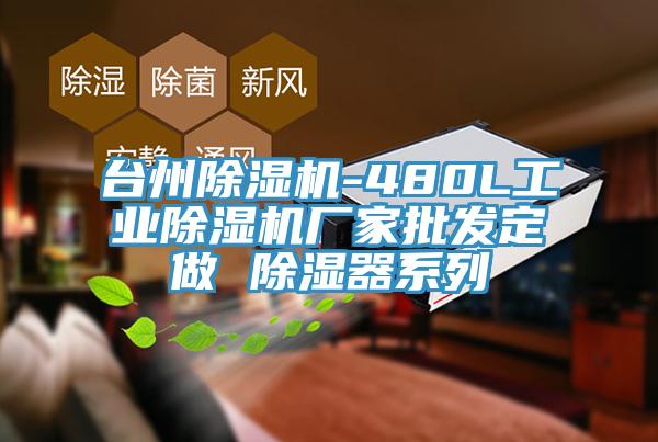 台州杏仁视频APP成人官方污-480L工業杏仁视频APP成人官方污廠家批發定做 除濕器係列