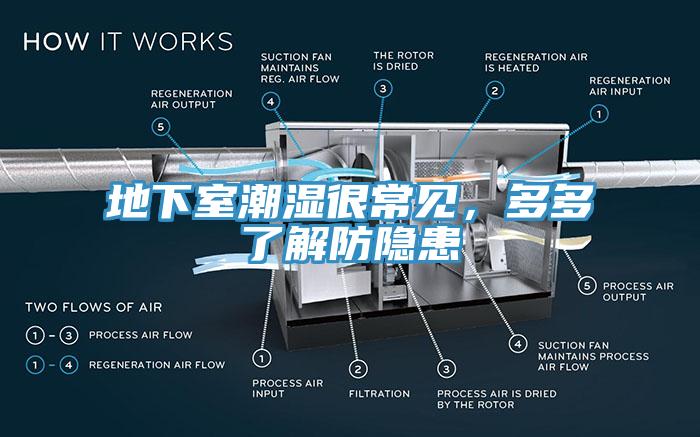 地下室潮濕很常見，多多了解防隱患