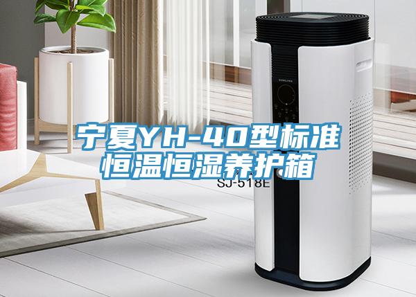 寧夏YH-40型標準恒溫恒濕養護箱