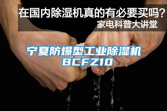 寧夏防爆型工業杏仁视频APP成人官方污 BCFZ10