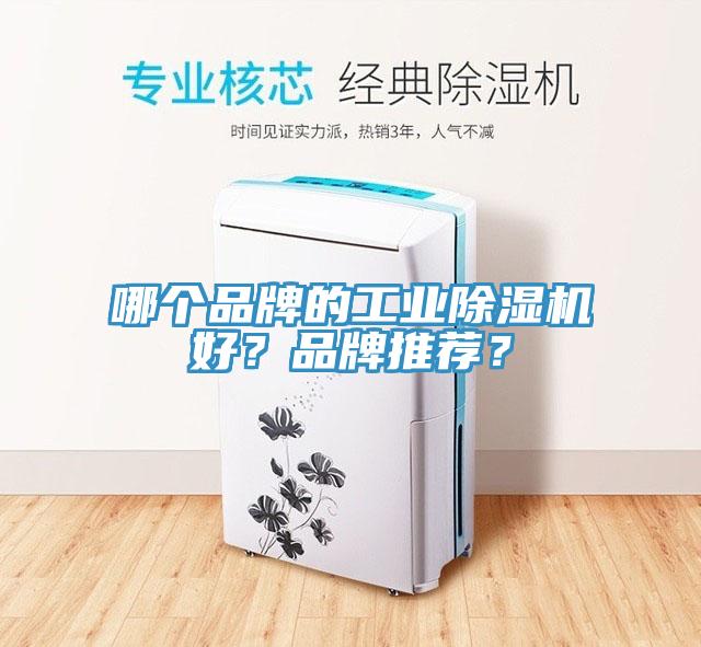 哪個品牌的工業杏仁视频APP成人官方污好？品牌推薦？