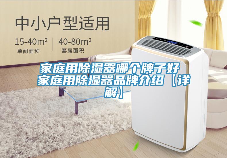 家庭用除濕器哪個牌子好 家庭用除濕器品牌介紹【詳解】