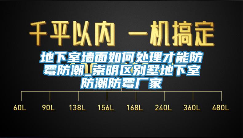 地下室牆麵如何處理才能防黴防潮_崇明區別墅地下室防潮防黴廠家