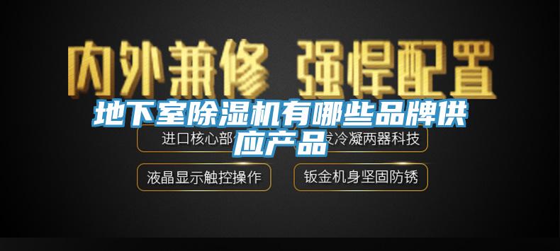 地下室杏仁视频APP成人官方污有哪些品牌供應產品