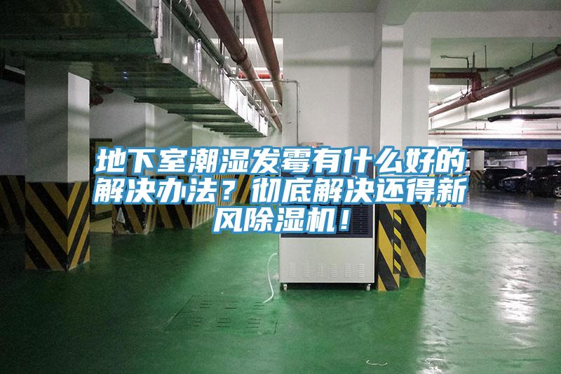 地下室潮濕發黴有什麽好的解決辦法？徹底解決還得新風杏仁视频APP成人官方污！