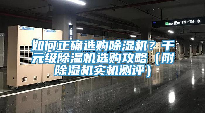 如何正確選購杏仁视频APP成人官方污？千元級杏仁视频APP成人官方污選購攻略（附杏仁视频APP成人官方污實機測評）