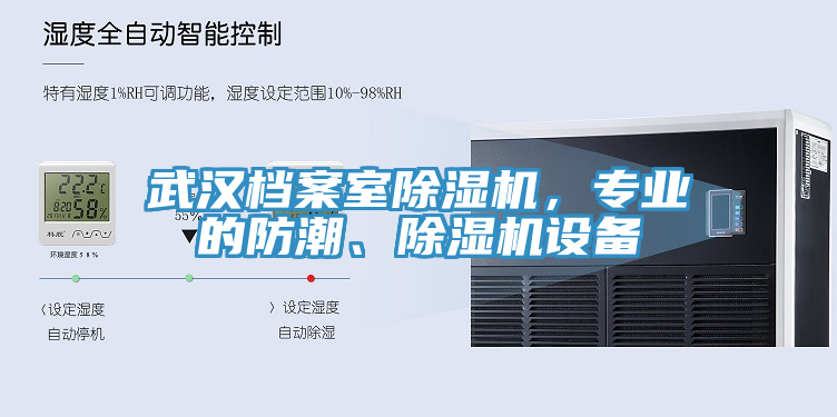 武漢檔案室杏仁视频APP成人官方污，專業的防潮、杏仁视频APP成人官方污設備